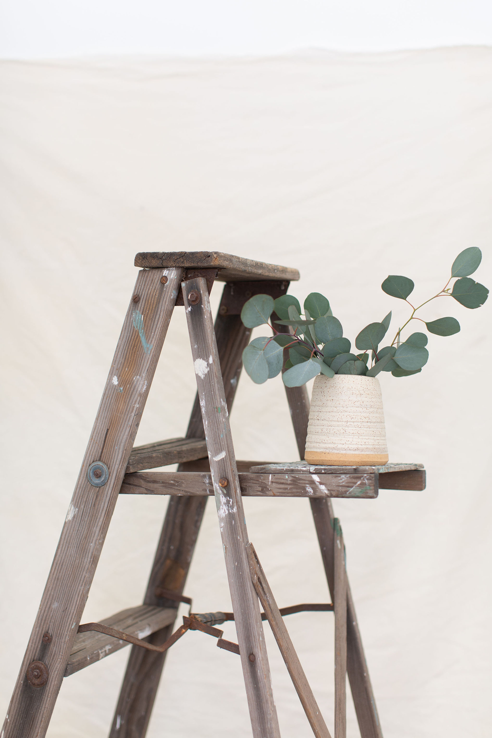 eucalyptus vase on ladder, newsletter, free resources for designers, resources for entrepreneurs, female business owners, interior design, work, hard work, female on the job, historic restoration, architecture plans, design, writer, natural aesthetic, natural light, blogger, tips, accounts, books, bookshops, Instagram, inspiration, logo, branding, wild hearted, intuitive, brand, narrative, natural, ethical, botanical, small business, for creatives, for solopreneurs, boss ladies, bloggers, blog, eco, floral, neutral, minimal, elegant, earthy, lifestyle, sustainable, writer, the art of slow living, cozy, cabin, gratitude, photos, home, boho, wild heart, wanderlust, magazine, creative life, live creative, creative folk, globally-minded, conscious, eco friendly, slow fashion, ethical wardrobe, minimalist fashion, Copywriting design, Copywriting northern Minnesota, Interior Design Content Writer, Creative, Editor, Content Creator and Social Media Strategist, Books, Empowerment, business, women in business, how to be a full time creative, articles, solopreneur, social media, creative, creatives, natural, starting out, tips, entrepreneur, alignment, slow lifestyle, minimalism, minimal, declutter, make space, space, create room, unique, portrait, self portrait, white, clean room, interior design, building, architecture